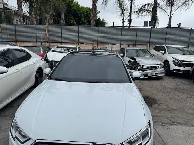 Complete Windshield Protection