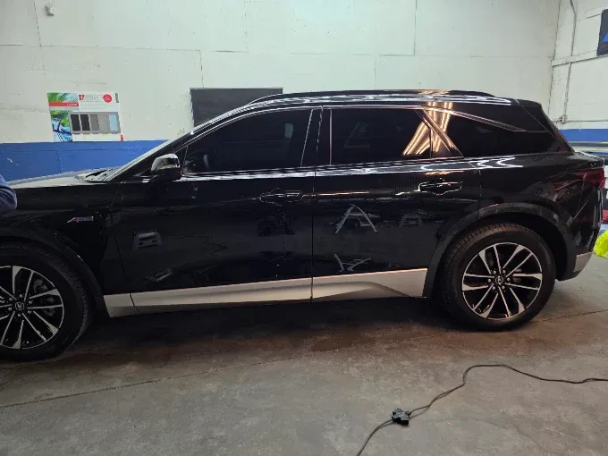 Professional Paint Correction