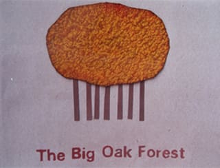 Image for The Big Oak Forest