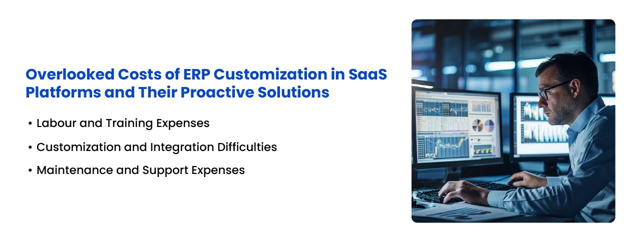 Hidden ERP implementation and customization costs