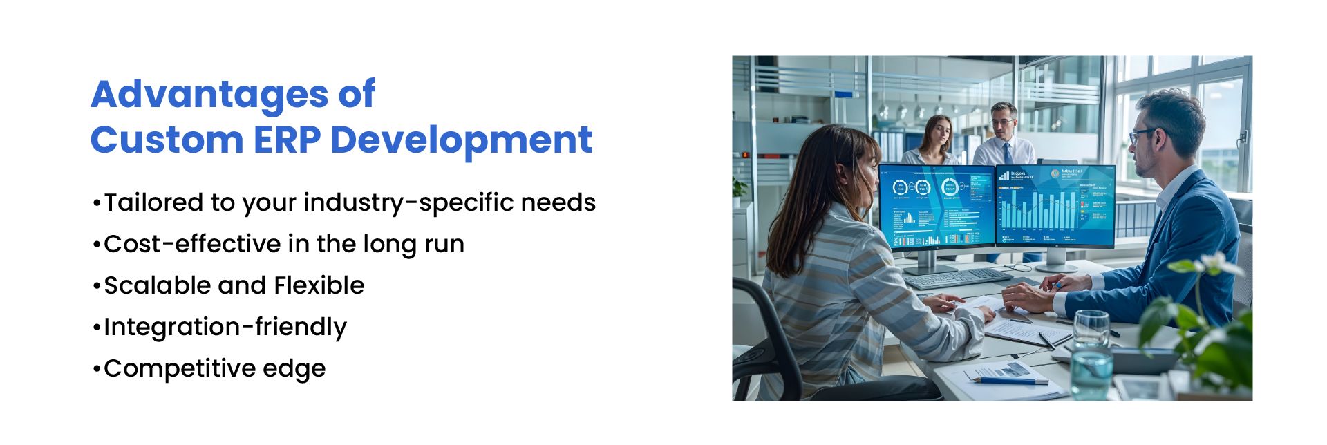 Custom ERP Development