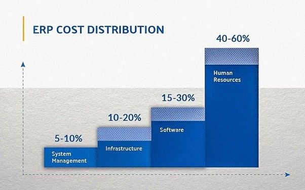 ERP software cost categories and cost distribution