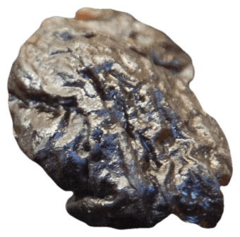 prunes, unedited
