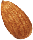 almonds, unedited