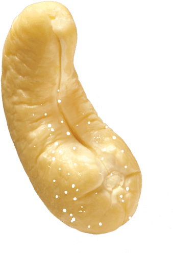 cashews, unedited