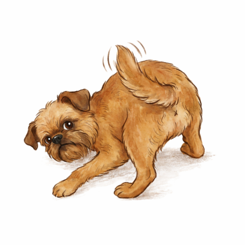 Profile photo of Dory