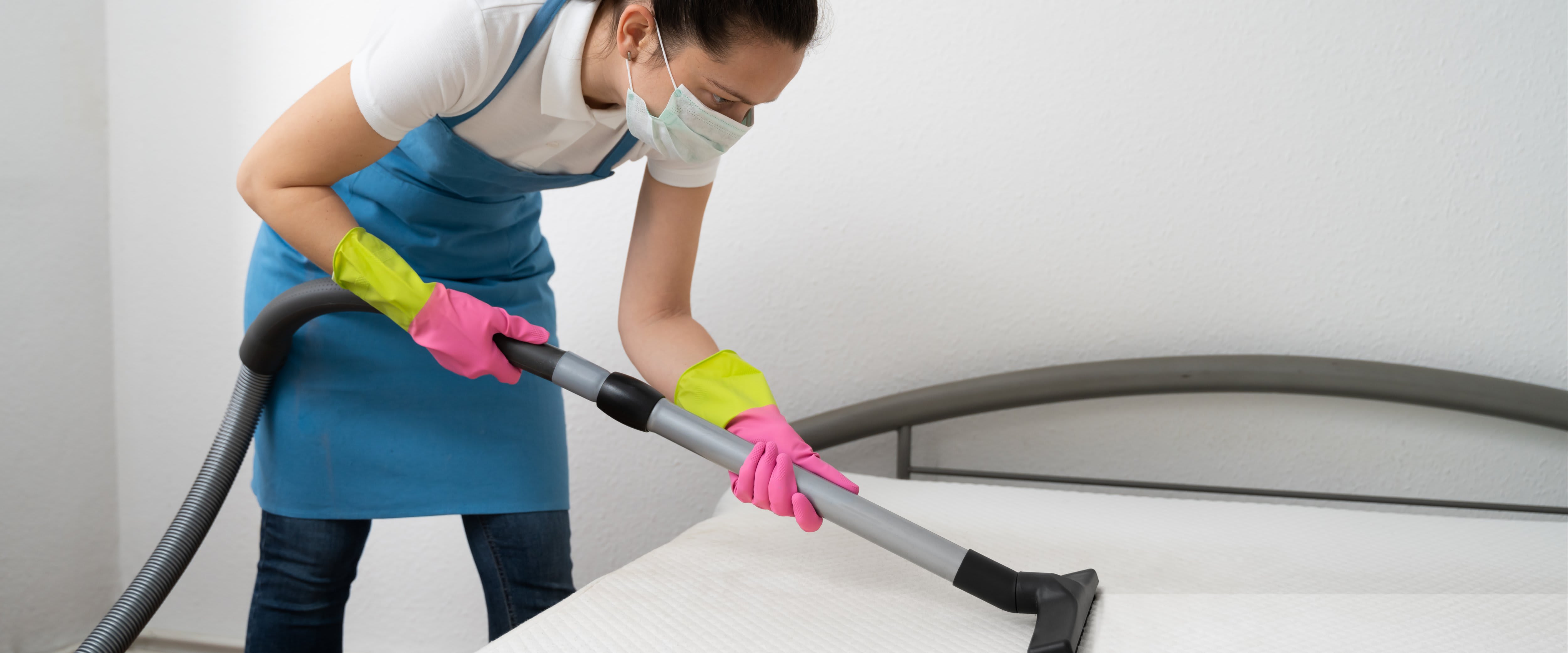 How to Get Rid of Bed Bugs in a Mattress: Step-by-Step Guide (2020)