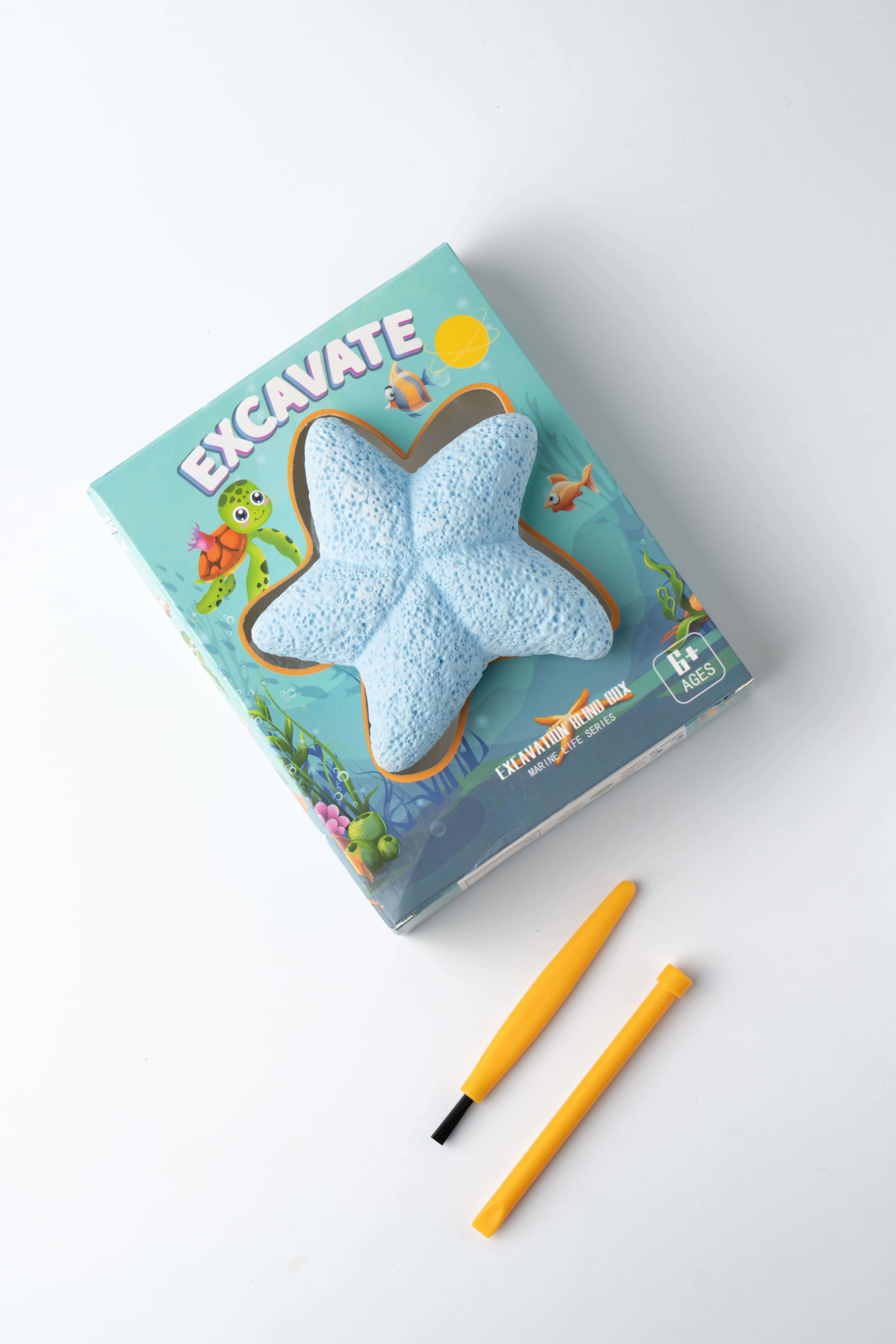 Starfish - Marine Life Excavation Kit