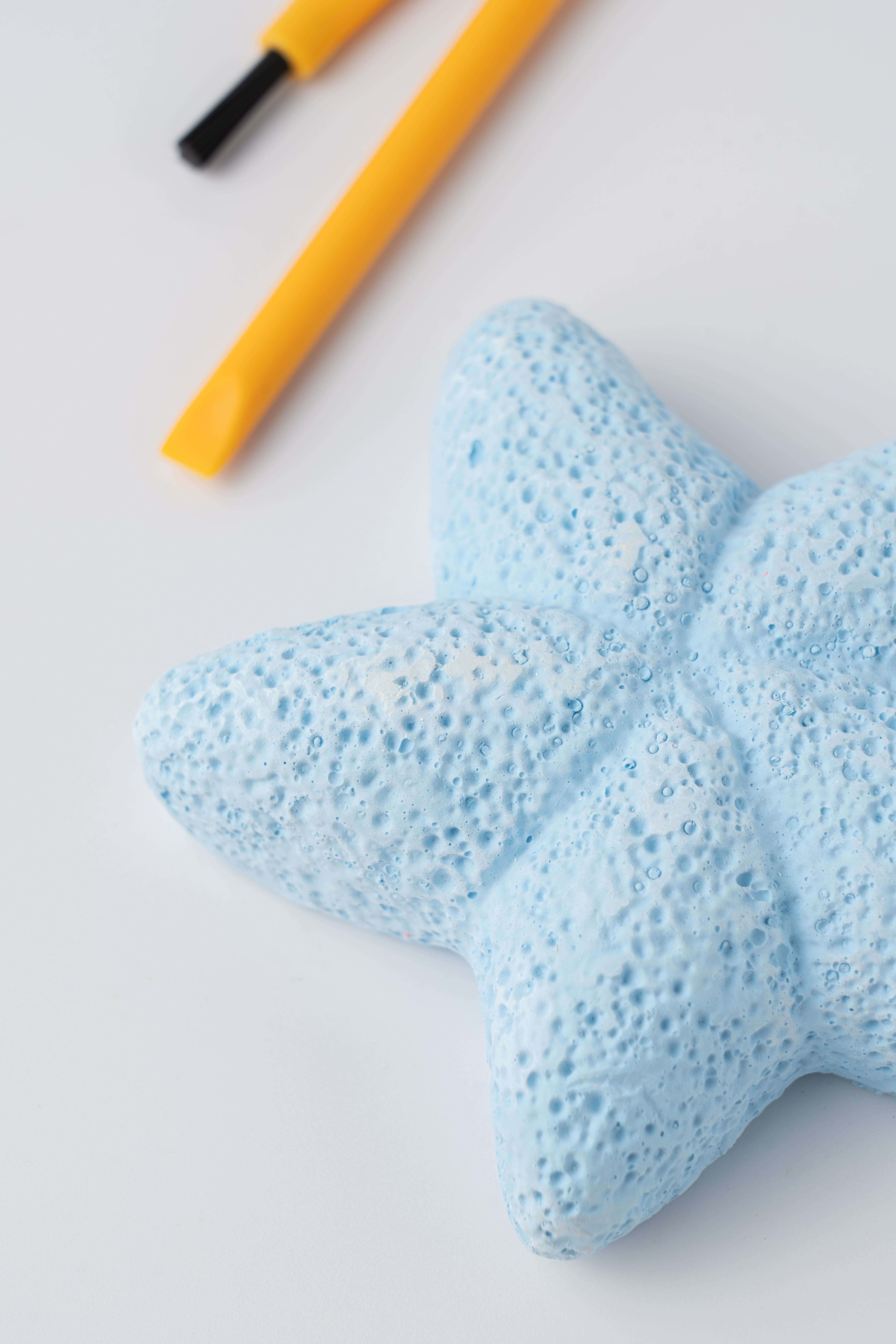Starfish - Marine Life Excavation Kit