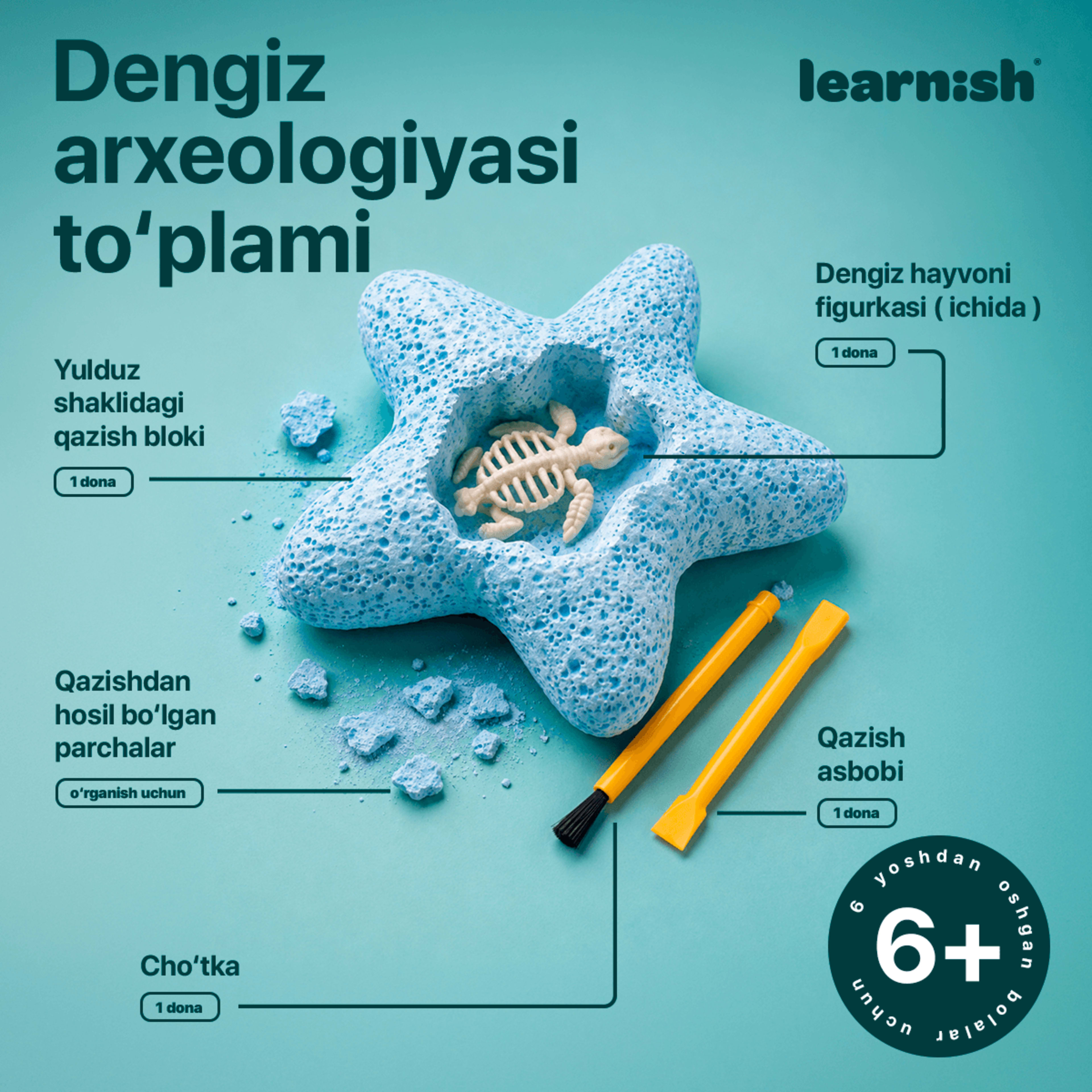 Starfish - Marine Life Excavation Kit