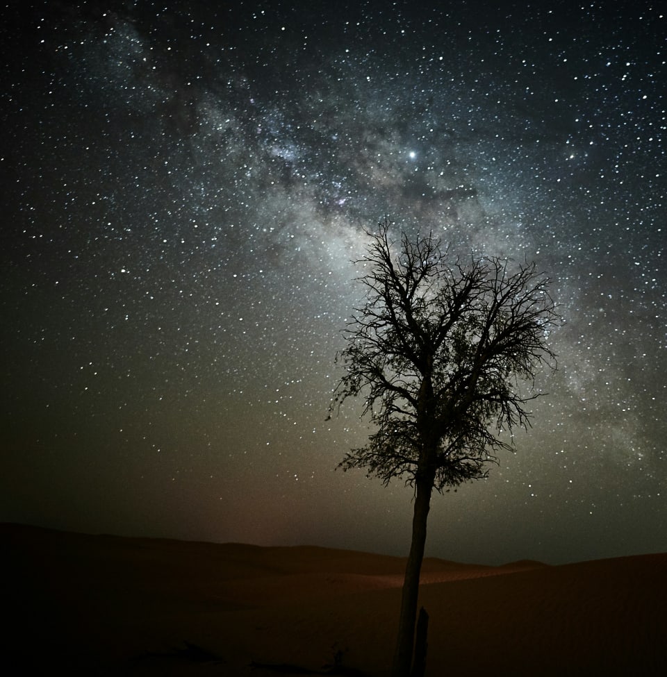 Stargazing Experience