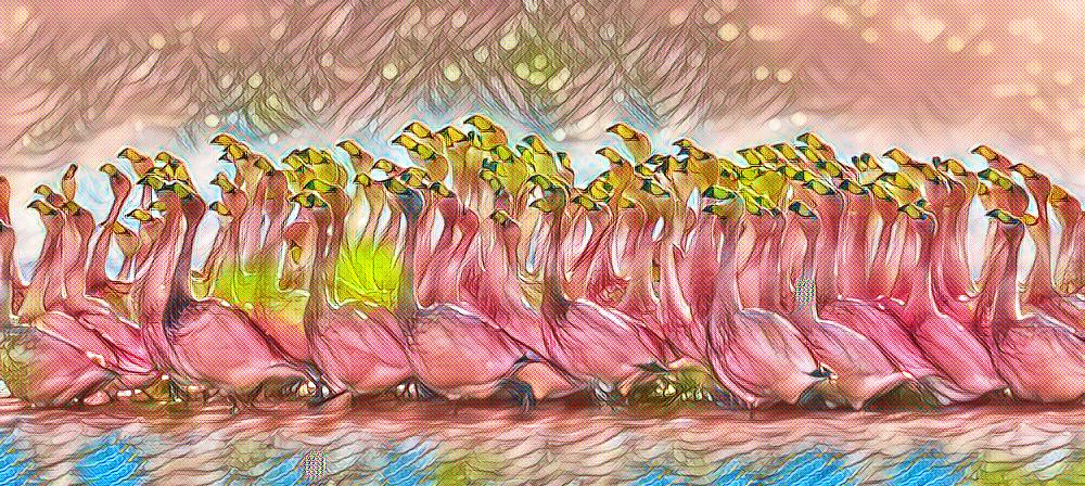 psychedelic flamingos