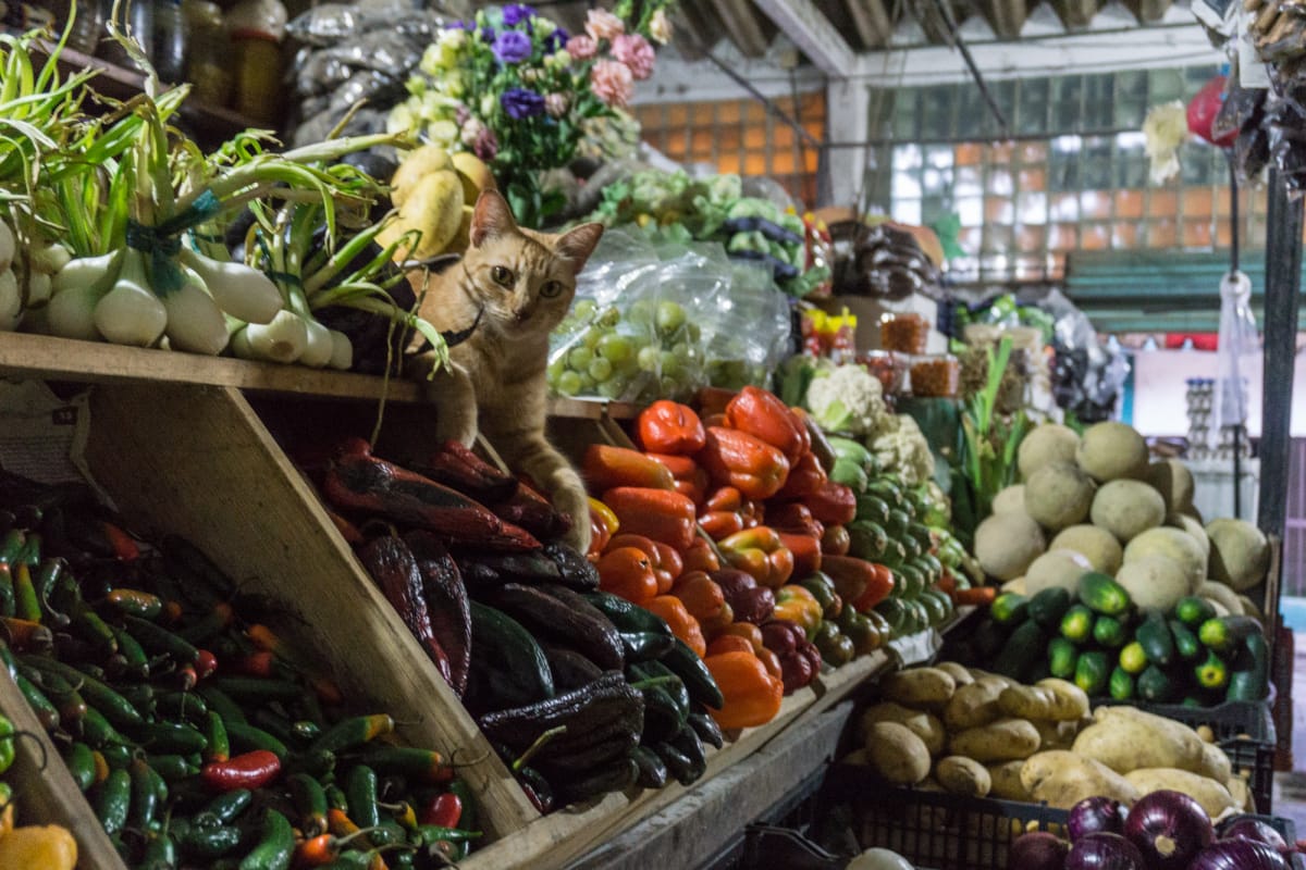 food market