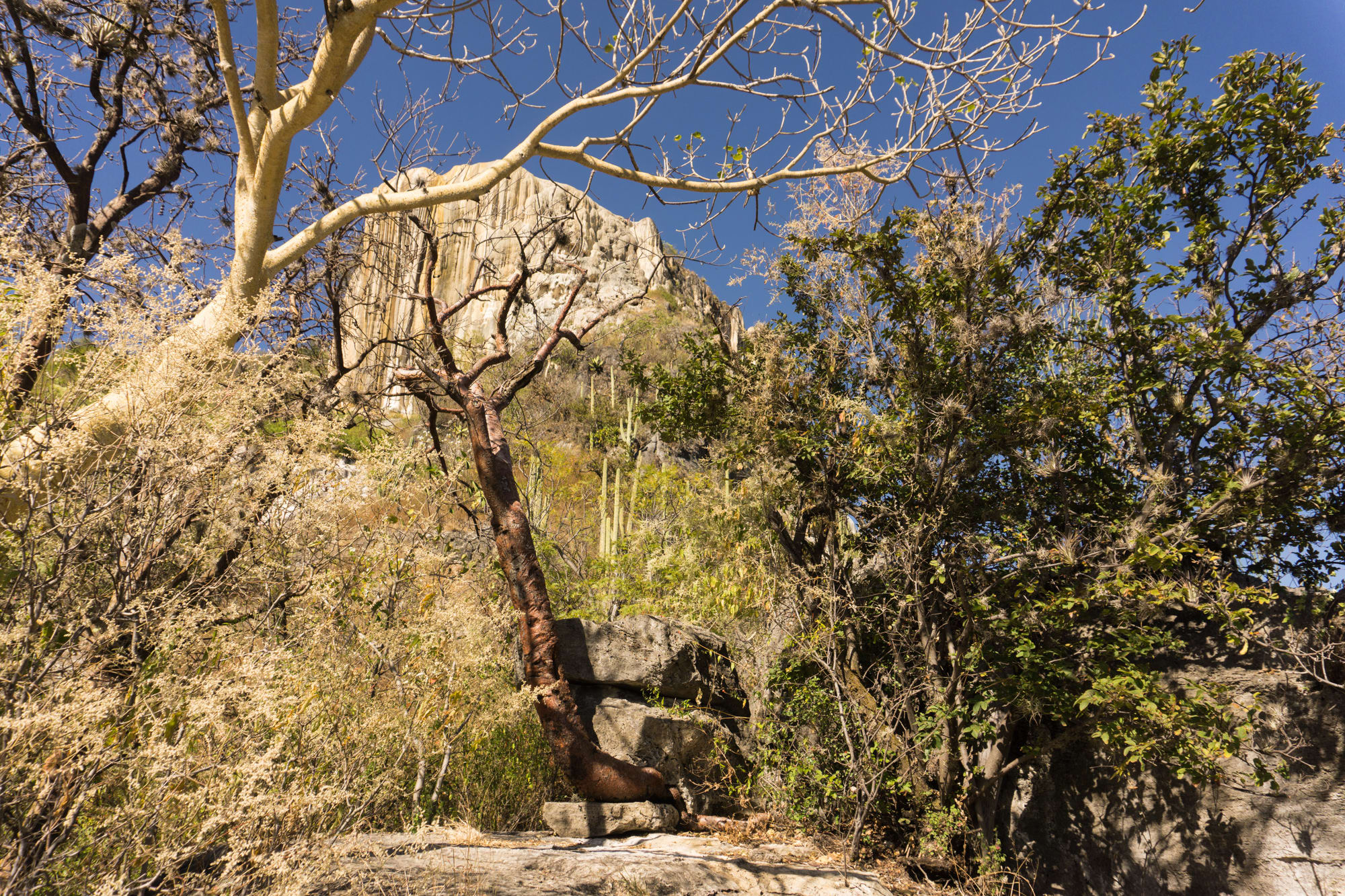 Hierve El Agua