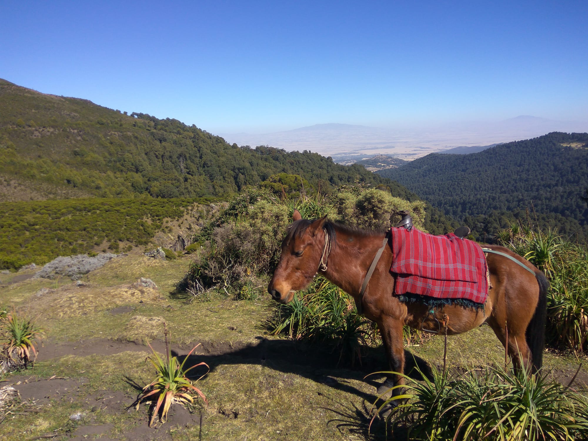 trail riding in ethiopia