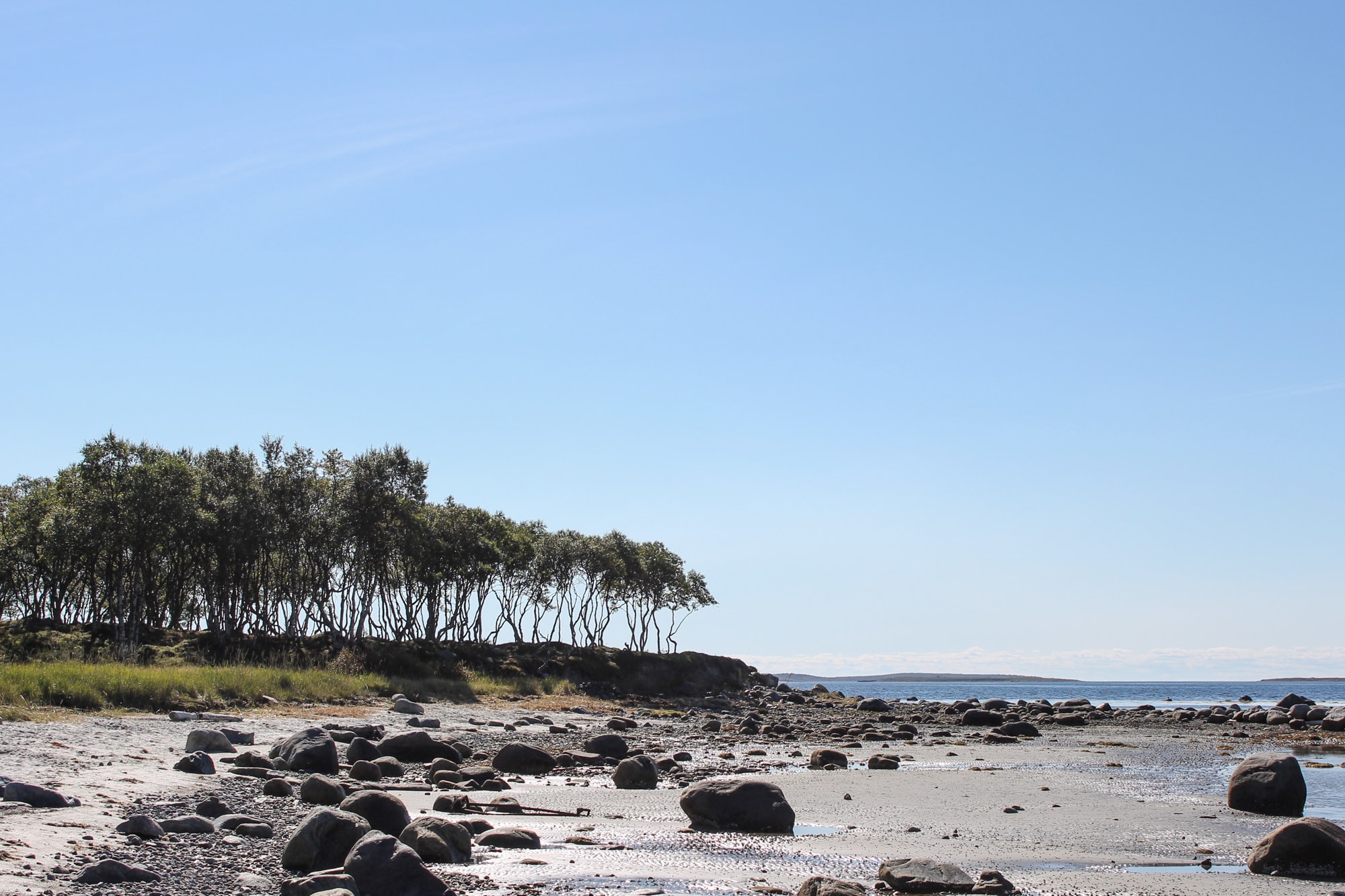 Trip to the Arctic Circle: The White Sea Shore