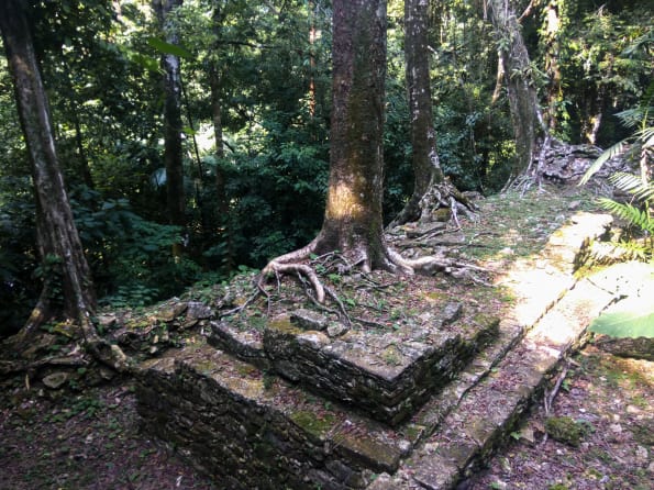 archeological site at palenque