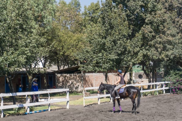 riding at the stables