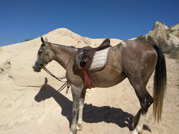 Riding in the valley of fairy chimneys