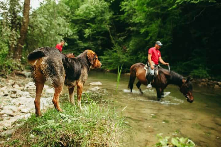 Riding in the forest with Dubravko Cindric