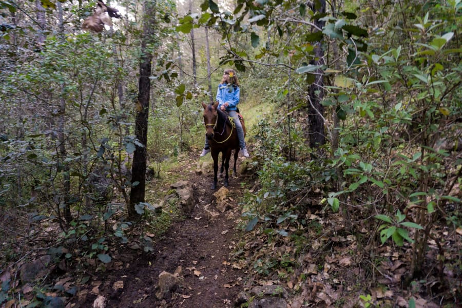 riding in the forest