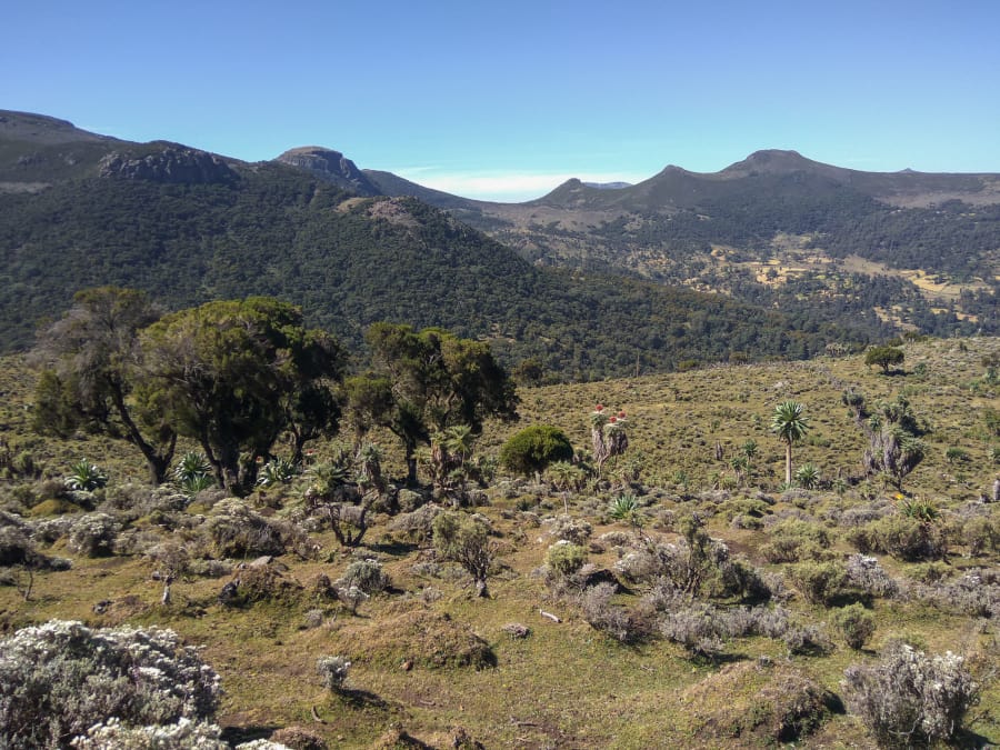 bale mountains