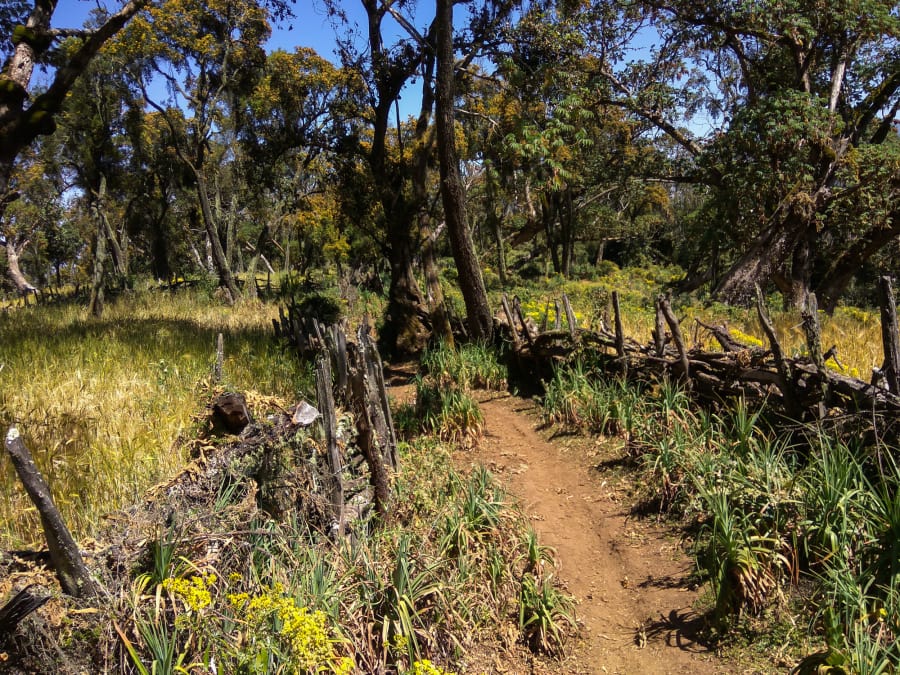 the path through the village