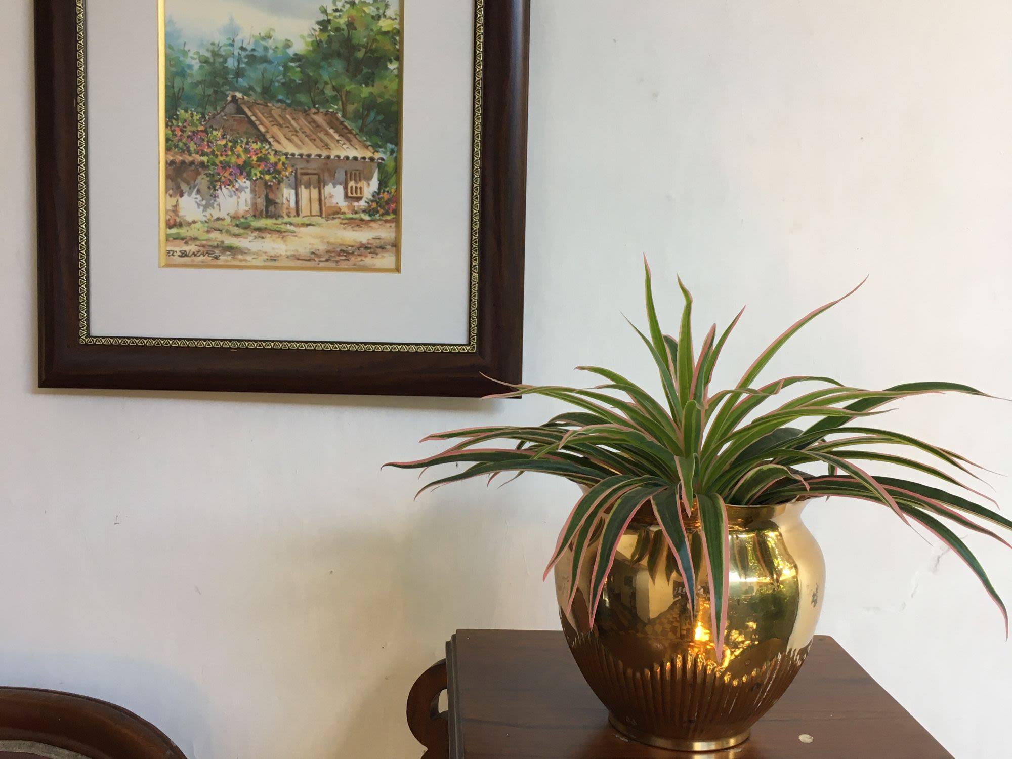 Rental accommodation in Beautiful apartment in Medellin Rental accommodation in Beautiful apartment in Medellin