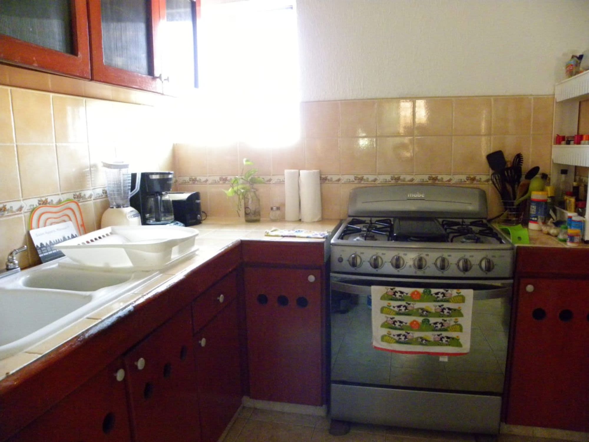 Rental accommodation in Bright center apartment in Playa del Carmen Rental accommodation in Bright center apartment in Playa del Carmen