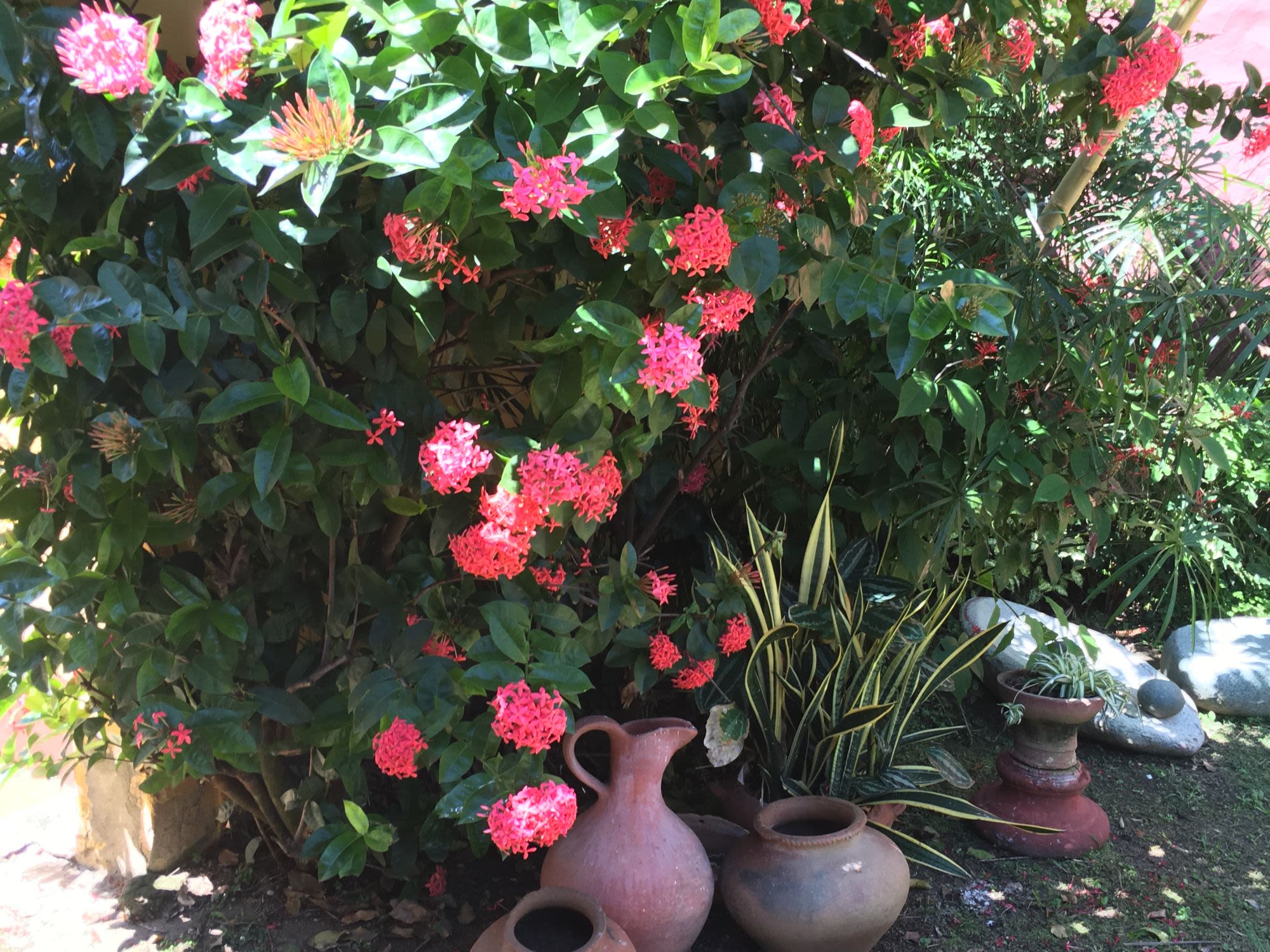 Rental accommodation in Beautiful apartment in Medellin Rental accommodation in Beautiful apartment in Medellin