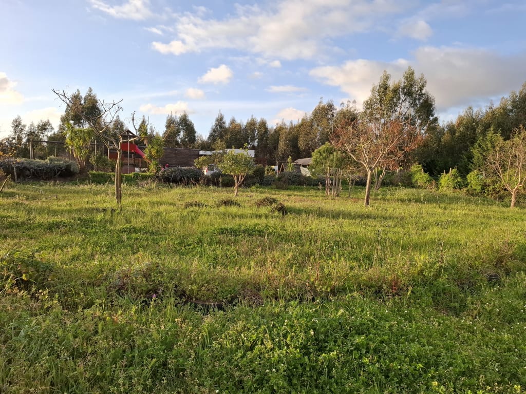 Caria's organic farm