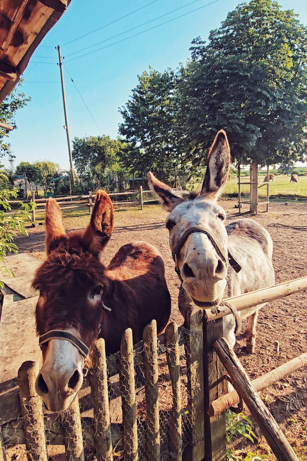 Wir freuen uns auf euren Besuch♥️
