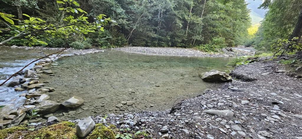 Paradiesli am Bach unter den Tannen