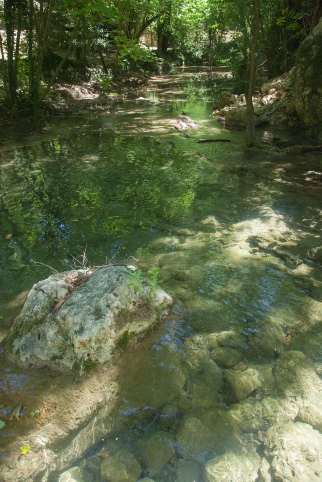 Der Bach bietet die Möglichkeit Bachaufwärts die Wilde natur zu entdecken mit kleinen Wasserfällen, grossen und kleinen Becken in denen Gebadet werden kann
