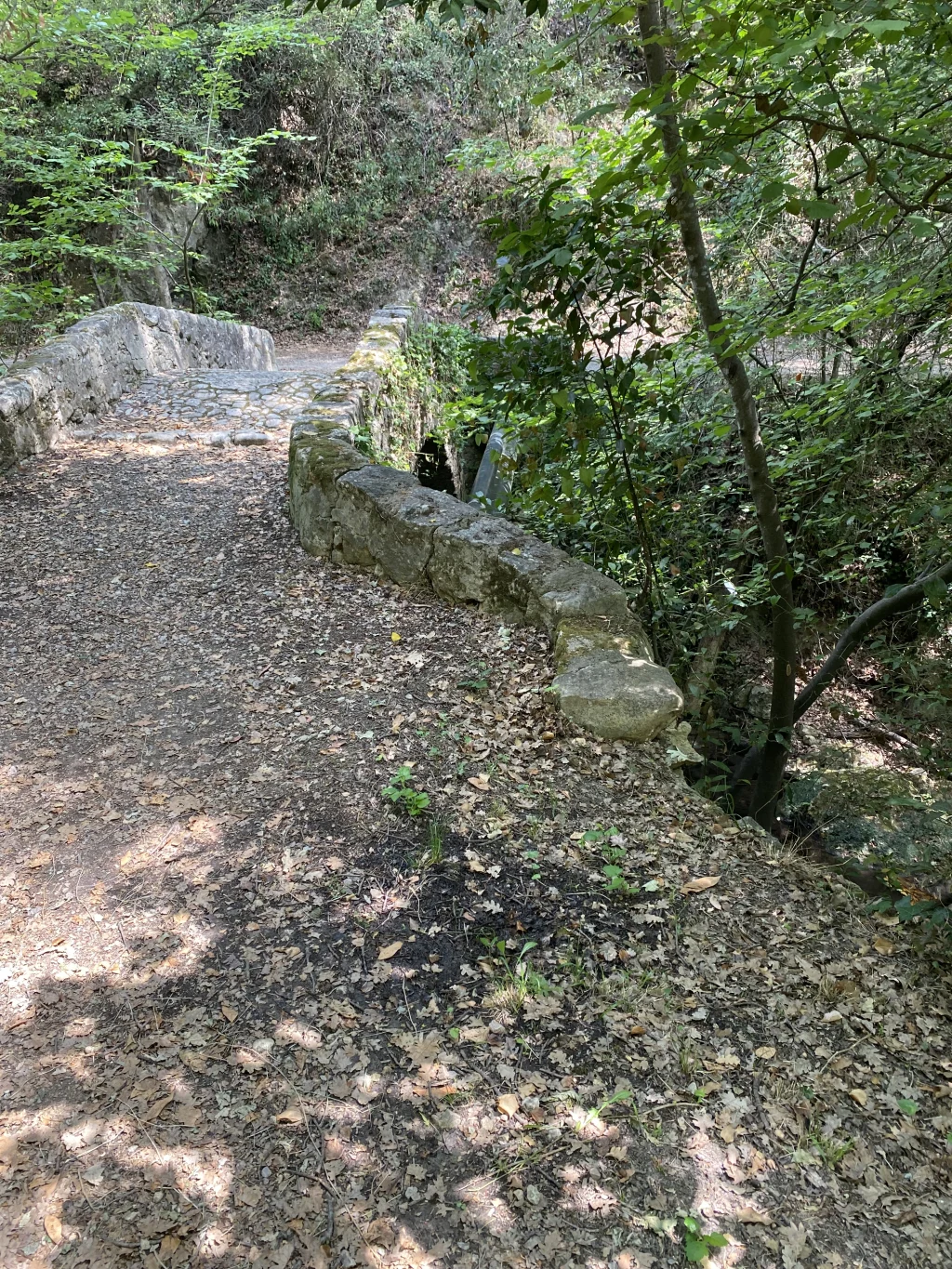 Von hier aus starten Zahlreiche interessante Wanderwege