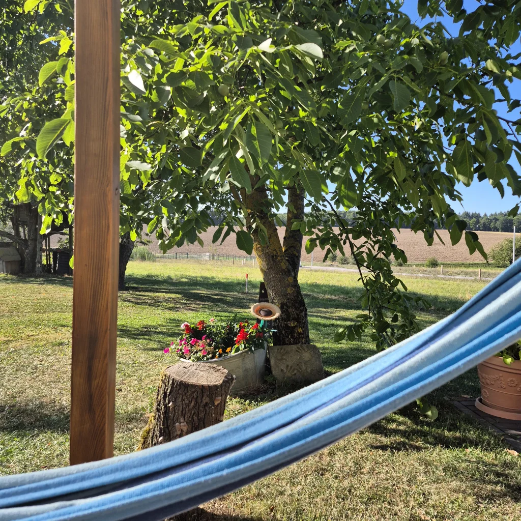 Ausblick vom Unterstand