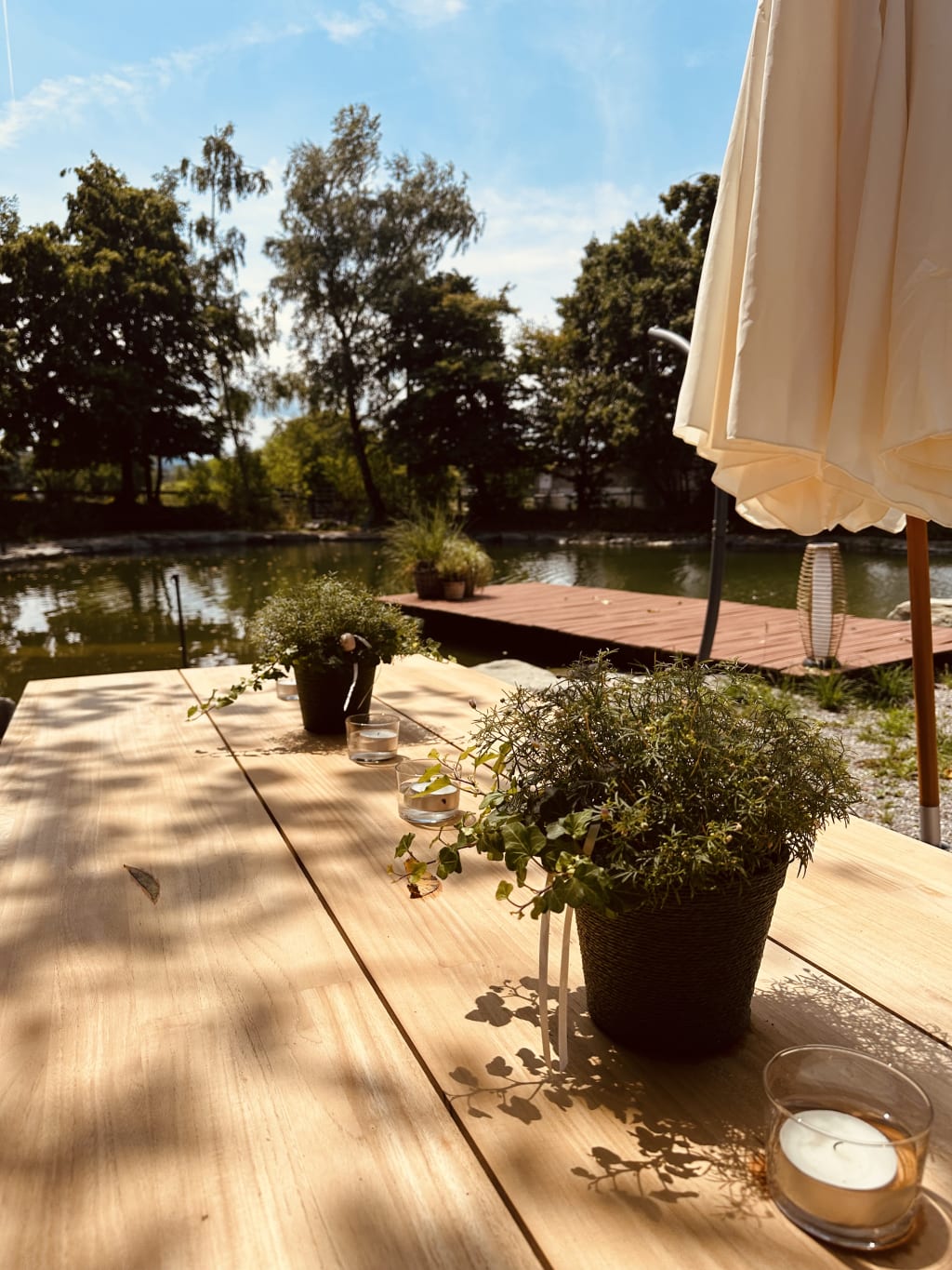 Eselweide am Weiher