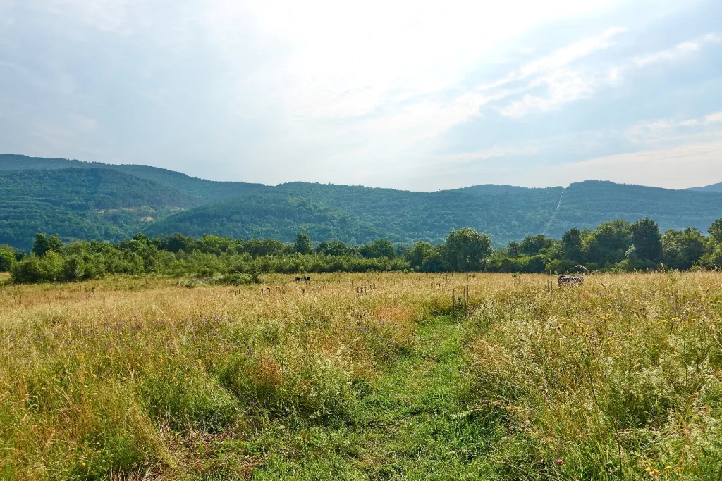 Farma pod Vlciu - campsite at the farm