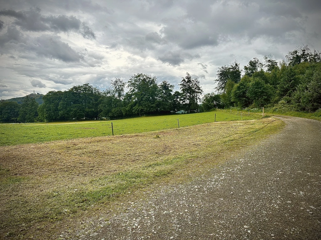 Natur pur im Pferdeparadies