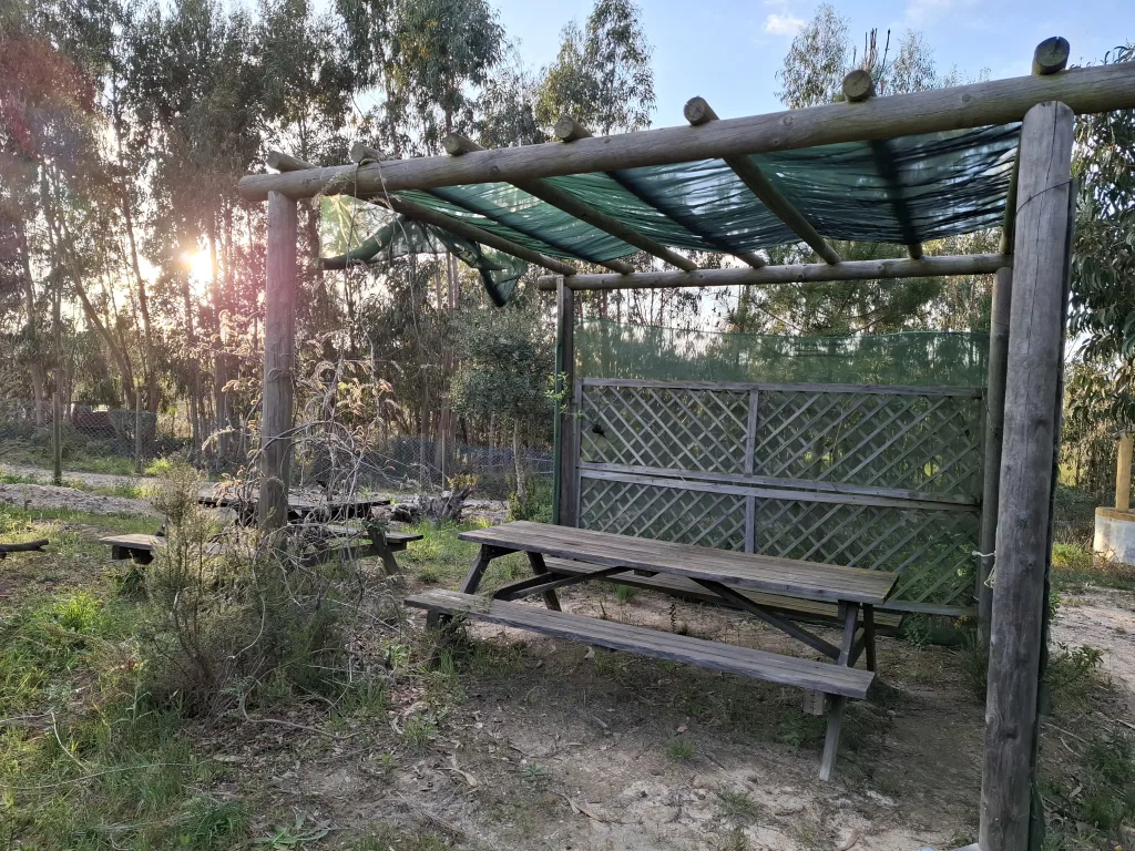 Picnic tables