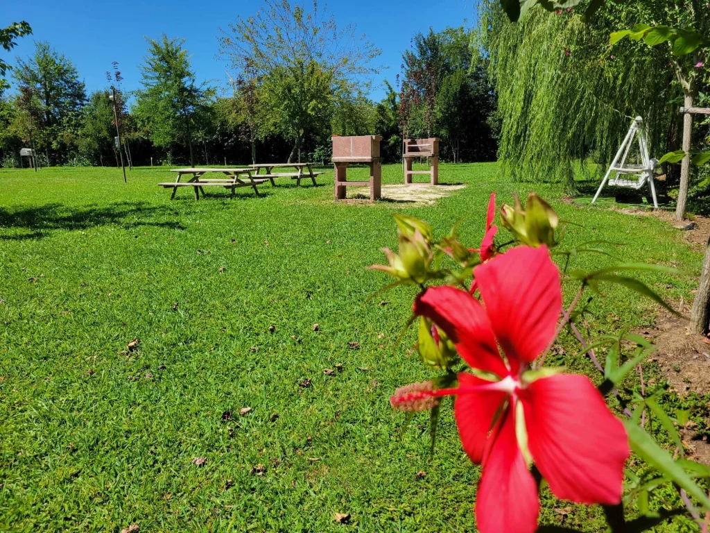 Agricampeggio Pini in Fiore