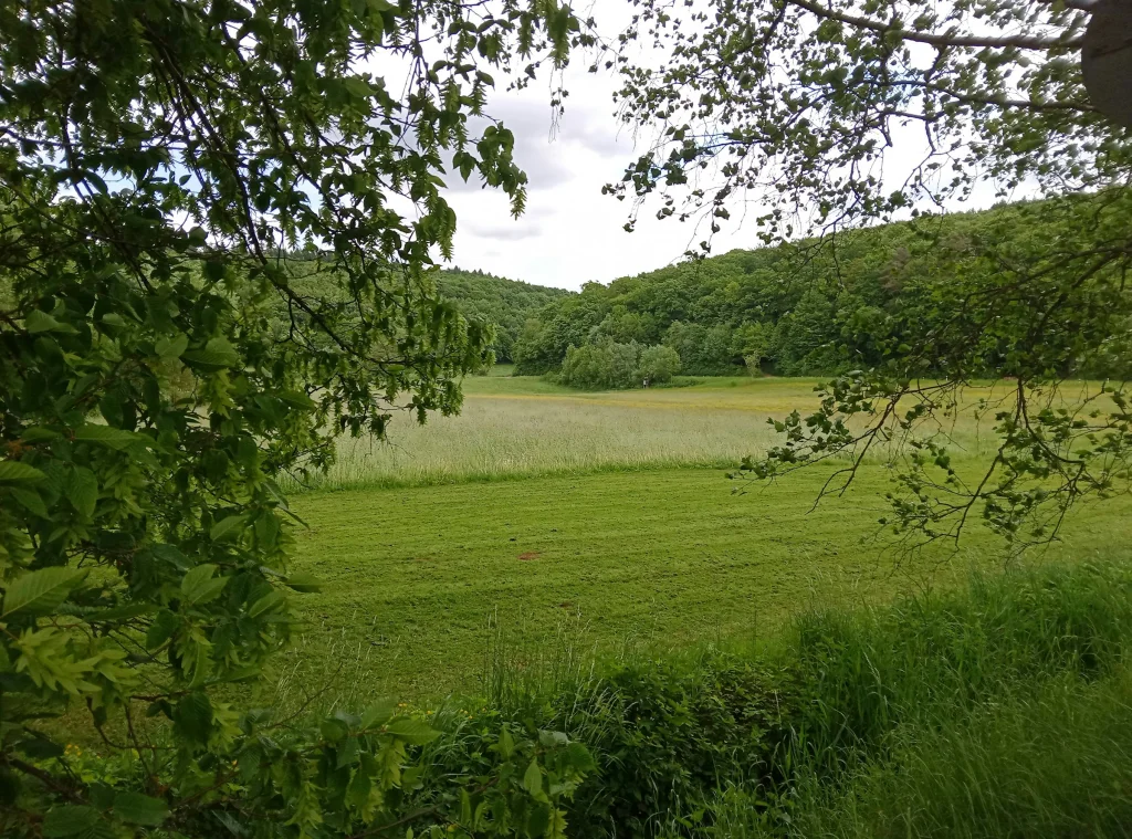 Im Tal der Orpe auf dem Bauernhof