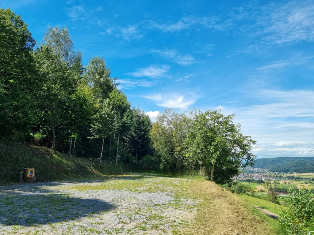 Schwarzwaldtannen mit Panormablick