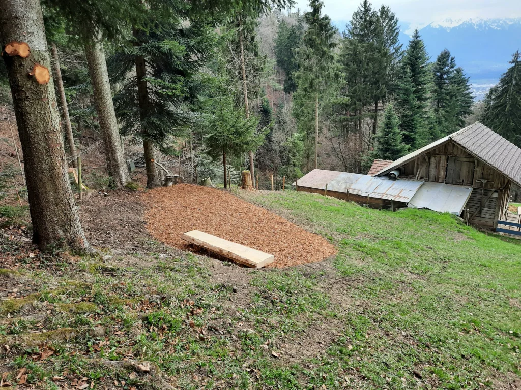 Camp Kelli