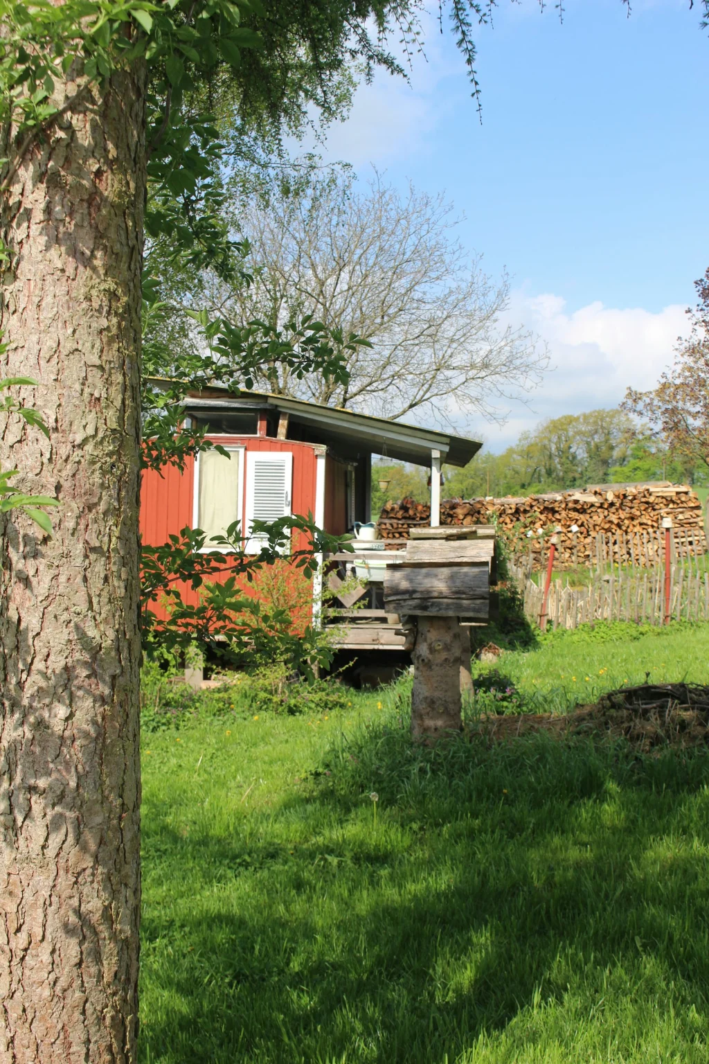 Liebeslaube