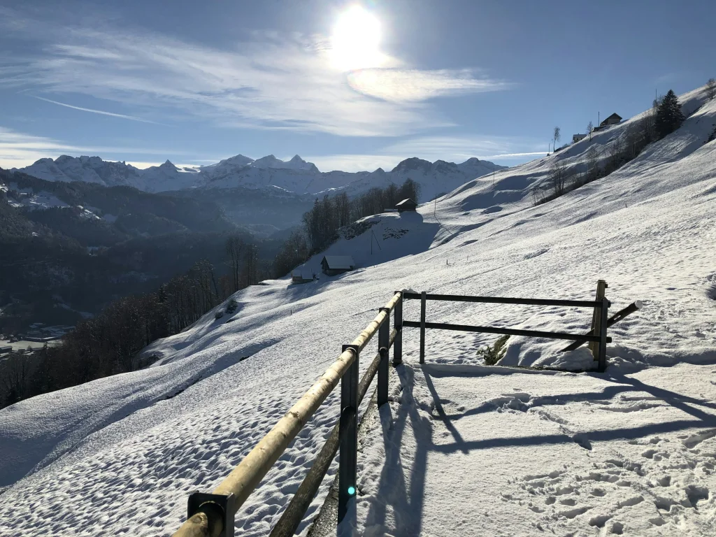 Berggut Lungern