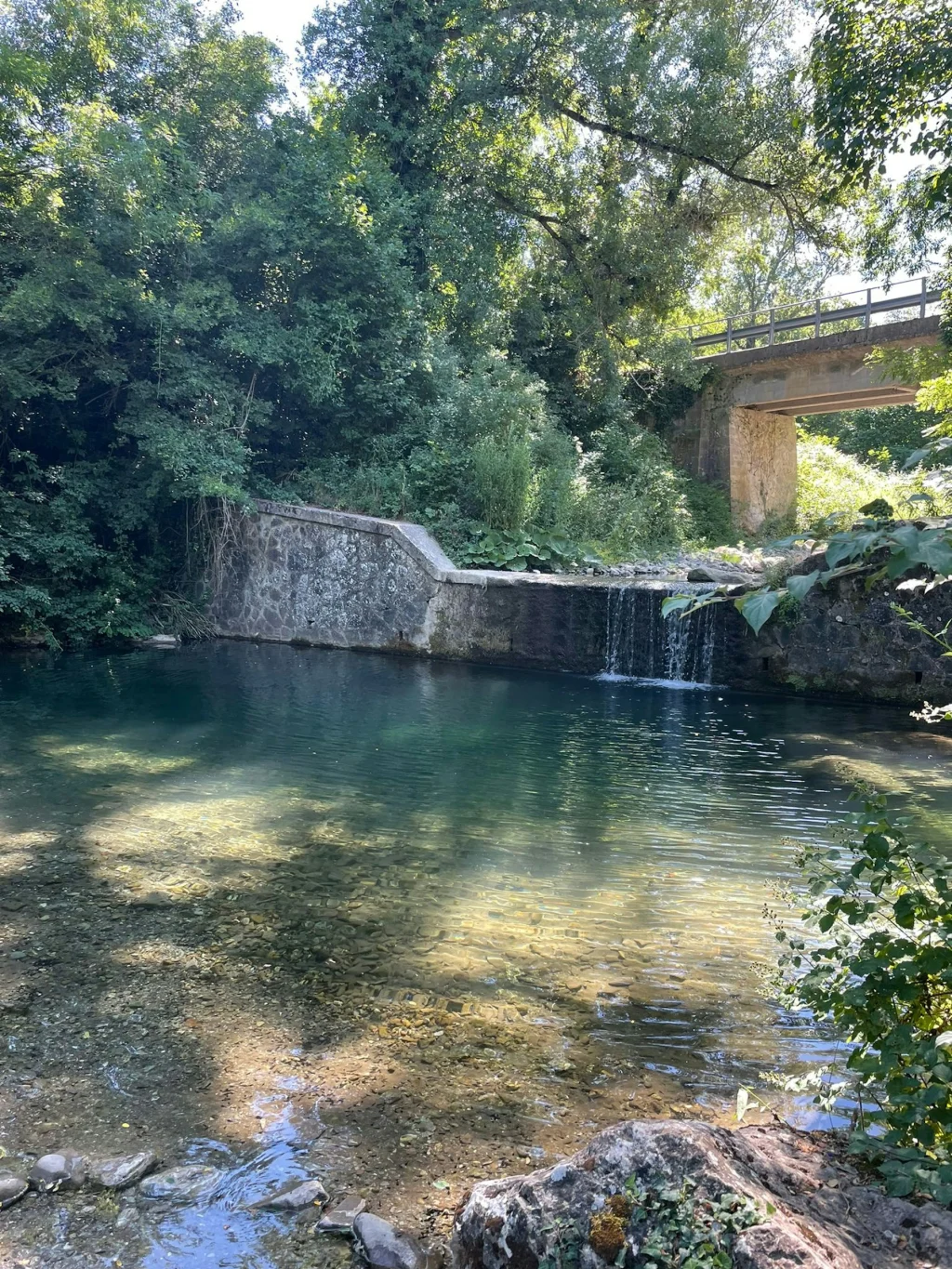 Senxunia Glamping Nel Bosco