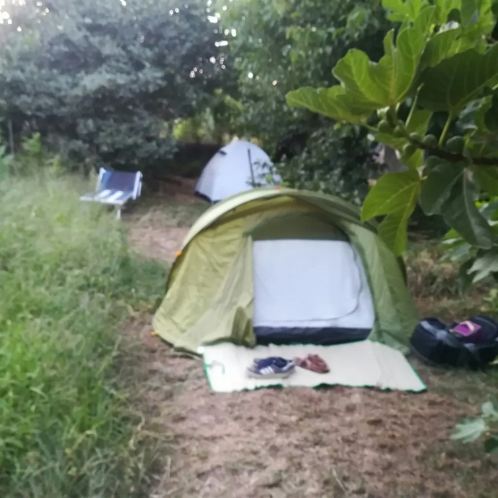 Il Giardino delle Ortensie ┇ Tenda