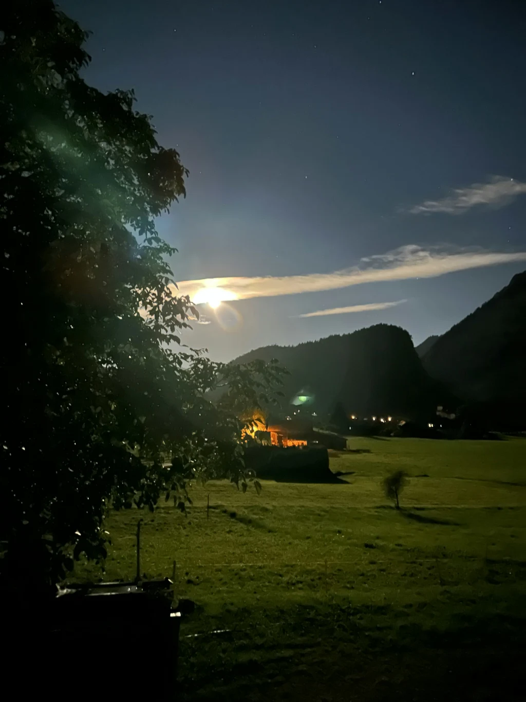 SpringCottage-unterm Wallnussbaum