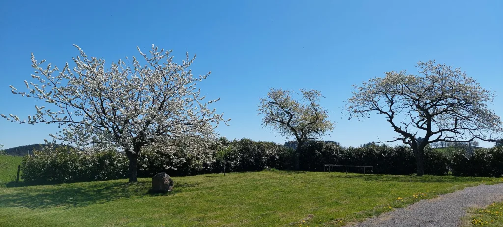Au pied du bois d'Azole